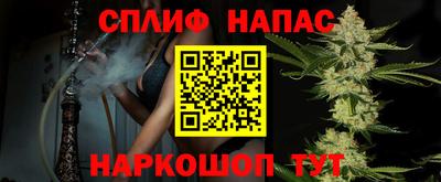 ГАЛЛЮЦИНОГЕННЫЕ ГРИБЫ Пугачёв