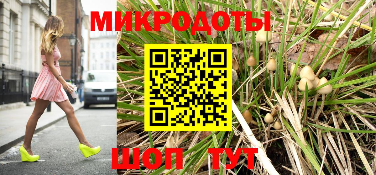 Псилоцибиновые грибы Psilocybe  Вход с VPN  Северобайкальск  Галлюциногенные грибы Magic Shrooms 